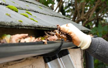 gutter cleaning Withyditch, Somerset